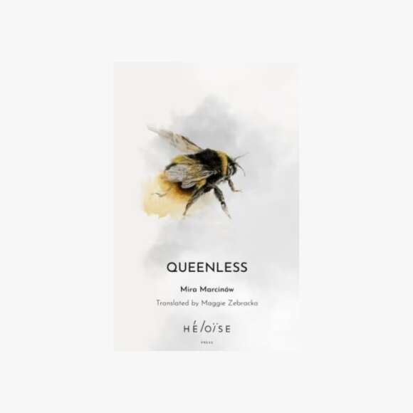 Queenless by Mira Marcinow  tr. Maggie Zebracka