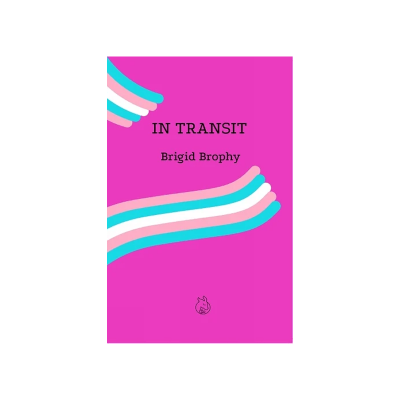 In Transit by Brigid Brophy